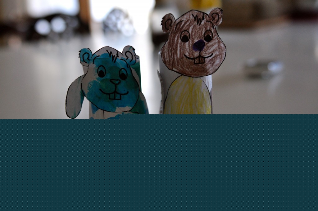 Finished toilet paper groundhogs!
